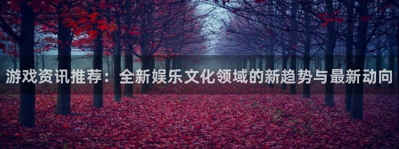 赢咖娱乐集团：游戏资讯推荐：全新娱乐文化领域的新趋势与最新动