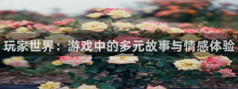 赢咖娱乐平台登陆：玩家世界：游戏中的多元故事与情感体验