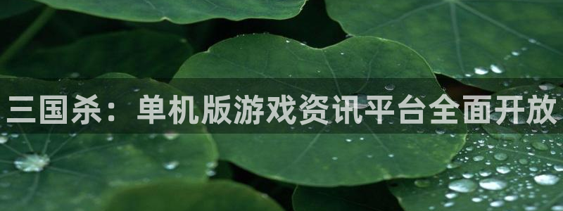 赢咖娱乐官网：三国杀：单机版游戏资讯平台全面开放