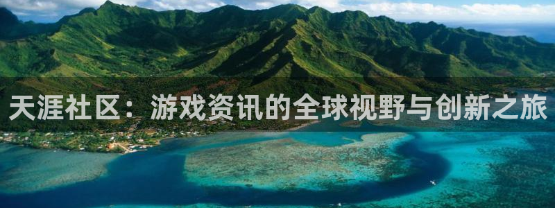 赢咖娱乐游戏：天涯社区：游戏资讯的全球视野与创新之旅