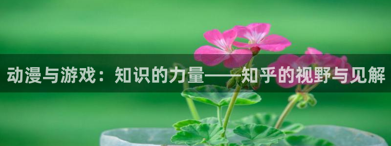 赢咖娱乐2登录：动漫与游戏：知识的力量——知乎的视野与见解
