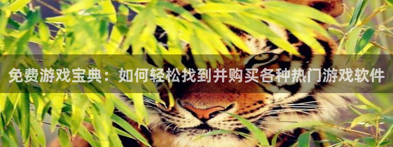 赢咖娱乐直属：免费游戏宝典：如何轻松找到并购买各种热门游戏软