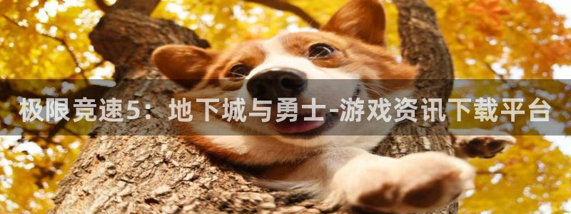 赢咖娱乐娱乐是真的吗：极限竞速5：地下城与勇士-游戏资讯下载