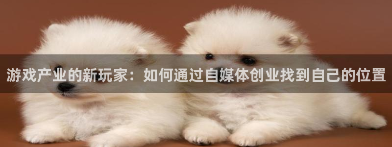 赢咖娱乐网址官网：游戏产业的新玩家：如何通过自媒体创业找到自