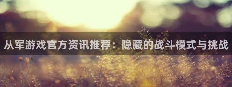 赢咖娱乐4开户：从军游戏官方资讯推荐：隐藏的战斗模式与挑战