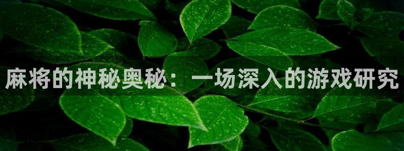 赢咖娱乐平台官网登录：麻将的神秘奥秘：一场深入的游戏研究